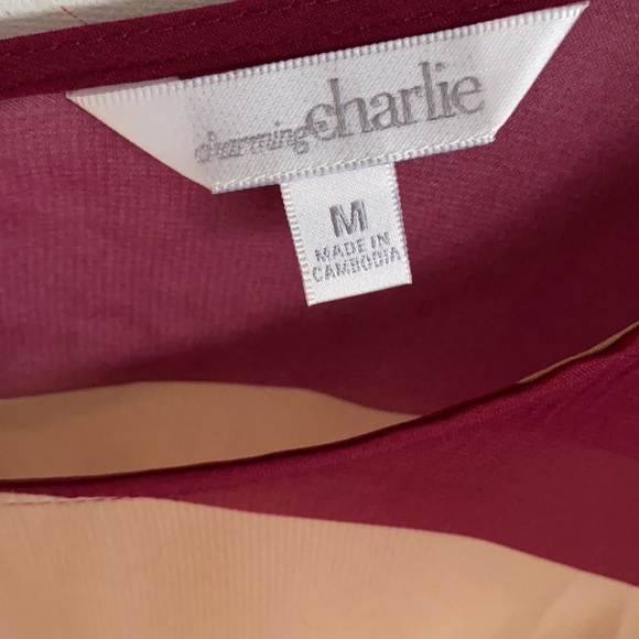 Charming Charlie sheer tunic striped blouse with split open back, Size M, NWT - Picture 2 of 5